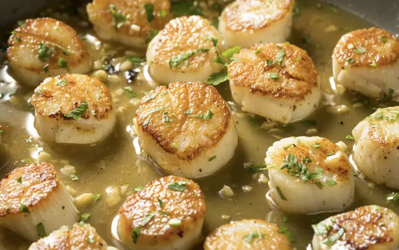 Scallop